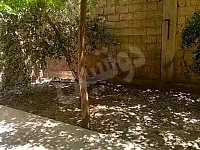 للبيع شقة ارضية 200 متر 3غرف و صالون و حديقة حمص شارع الستين