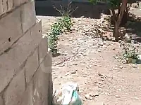 للبيع ارض 5 ثصبات مسورة حكم محكمة ريف دمشق يلدا
