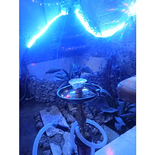 -منير قاسم