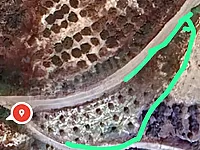 بيع أرض زيتون في عين شقاق اللاذقية - 1000 م²