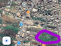 أرض زراعية للبيع في قاح إدلب - مساحة 5300 م²
