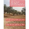 صورة المستخدم