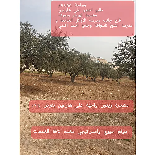 -ابو احمد 