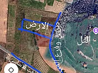 ارض زراعيه للبيع 
