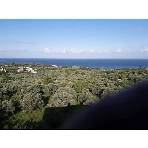 Baher realstate