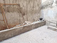 إيجار شقة 100م² في حي السريان، حلب - 2500 دولار سنويًا