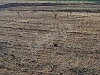 أرض زراعية للبيع رنكوس ريف دمشق 12000 م² طابو نظامي