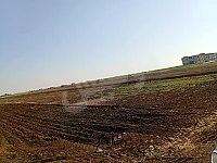الأراضي الزراعية للبيع في حماة  السقيلبية عوينة 