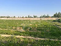 بيع أراضي زراعية في كفر بطنا ريف دمشق