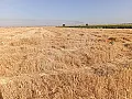 بيع أرض زراعية 24 هكتار في قرية سليمة حلب بسعر مغري