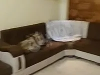 للبيع شقة 135م/ 4 غرف ومنافع طابق اول فني+حصة سطح 50م/حماه اميرية