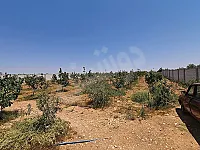 للبيع ارض زراعية حمص قرب كلية الدفاع الجوي موقع مميز 