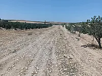 للبيع ارض زراعية ريف حمص قرية عيفير  موقع مميز 