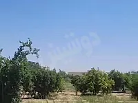 للبيع ارض 3500م تصلح للزراعة او السكن او مزرعة/الرقة _الكسرة فخيخة