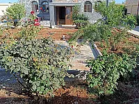 للبيع مزرعه حمص الأوراس مقابل مفرق غزالة تجهيز ممتاز 