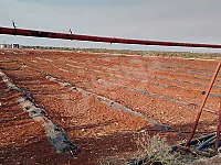 أرض زراعية لا مزرعة في موقع مميز