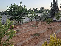 للبيع مزرعة معفشة مساحة 1050 متر  