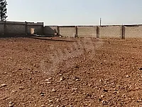 للبيع ارض زراعية ريف حمص مزارع ٱبل موقع مميز 
