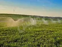 للبيع أرض زراعية مساحة 300 دونم /الرقة _السلحبية الشرقية 