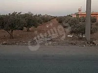 للبيع ارض زراعية ريف حمص مهين قرية  الحازمية عالشارع الرئيسي 