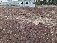 للبيع ارض زراعية ريف حمص شرق المكرمية موقع مميز 