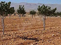 للبيع قطعة أرض مزراع رنكوس