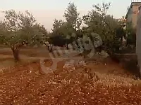 للبيع ارض زراعية ريف حمص قرية الجابرية موقع مميز 