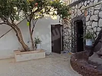 للبيع مزرعة 3 دونمات مخدمة و  مكسية و مزروعة شجر/ اول طريق ام عانون 