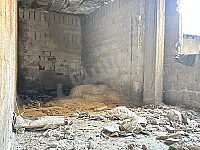 محل للإيجار من المالك