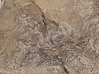 للبيع ارض على المتحلق الشمالي حفير تحتا 