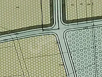 فرصة استثمارية ضمن حلب