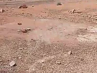 بيع أراضي في خان الشيح ريف دمشق بمساحة 10000 م²