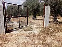 للبيع ارض سكنية اللاذقية سقوبين