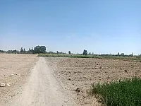 ١٩ دونم للبيع حوش الصالحيه