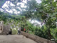 للبيع 2586/بيت عربي طرطوس دريكيش 