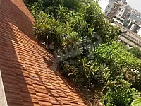 للبيع بيت عربي طرطوس دريكيش حي المقلع