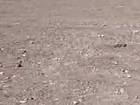 للبيع ارض سكنيه حمص جوبر قرب تحويلة منطقة مزارع 