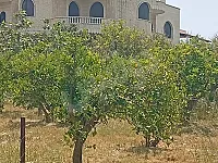 للبيع فيلا جاهزة في ريف الشمالي باللاذقية(مشقيتا)