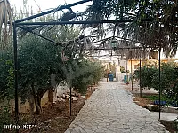 للبيع مزرعة 700م وبناء 50م/مزروعة شجر مثمر/السلمية خلف مقصف الربيع