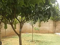 للبيع ارض زراعية 3000 متر/ يوجد 40 شجرة زيتون/سلمية غرب تل السطحيات