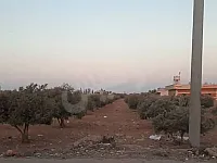 للبيع ارض زراعية ريف حمص مهين قرية الحازمية موقع مميز 