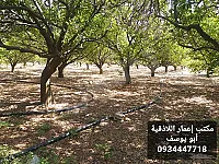 للبيع ارض سياحية الاذقية طريق القصر 