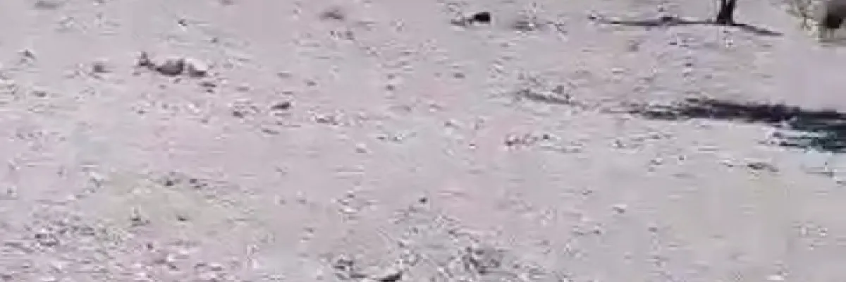 افتكار ناصرالدين Cover