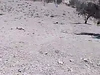 أرض زراعية للبيع في عين الفيجة ريف دمشق بمساحة 2240 م²