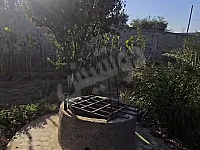 مزرعة في منطقة السوافي مخدمة 