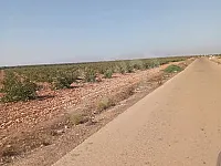 للبيع ارض زراعية ريف حمص الغربي طريق العبريني زيدل موقع مميز 