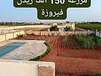 للبيع مزرعه حمص بين فيروزة وزيدل تجهيز سوبر ديلوكس 
