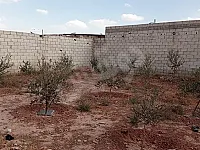 للبيع قطعة ارض مسورة 318م مزروعة أشجار زيتون/ حماه سلمية حي المنطار 