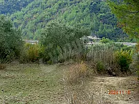 للبيع مزرعة مزروعة أشجار زيتون واصل إنتاج  قرية حكرو