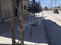 ارض تجارة ضمن التنظيم موقع مميز 